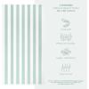 imageAmerican Soft Linen Cabana Striped Beach Towels 30x60 inch 4 Piece Oversize Pool Towels Quick Drying Sand Free Swim Towels Mint GreenMint